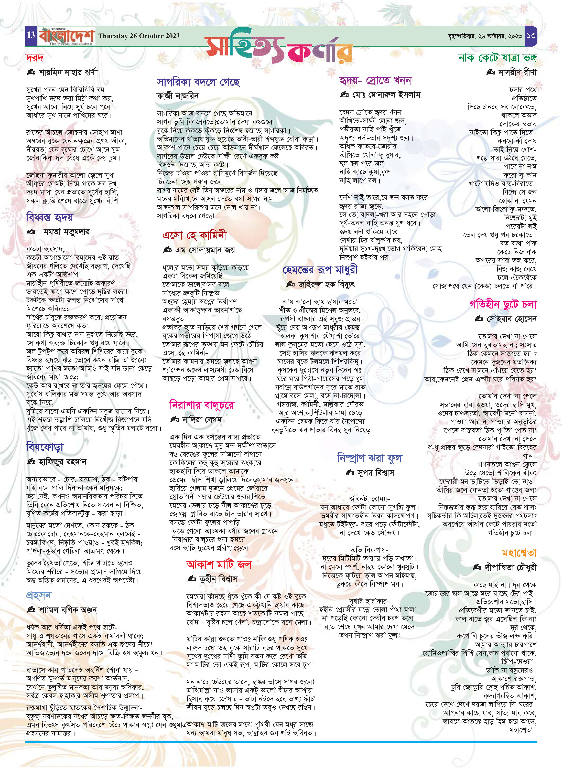 পৃষ্ঠা-১৩