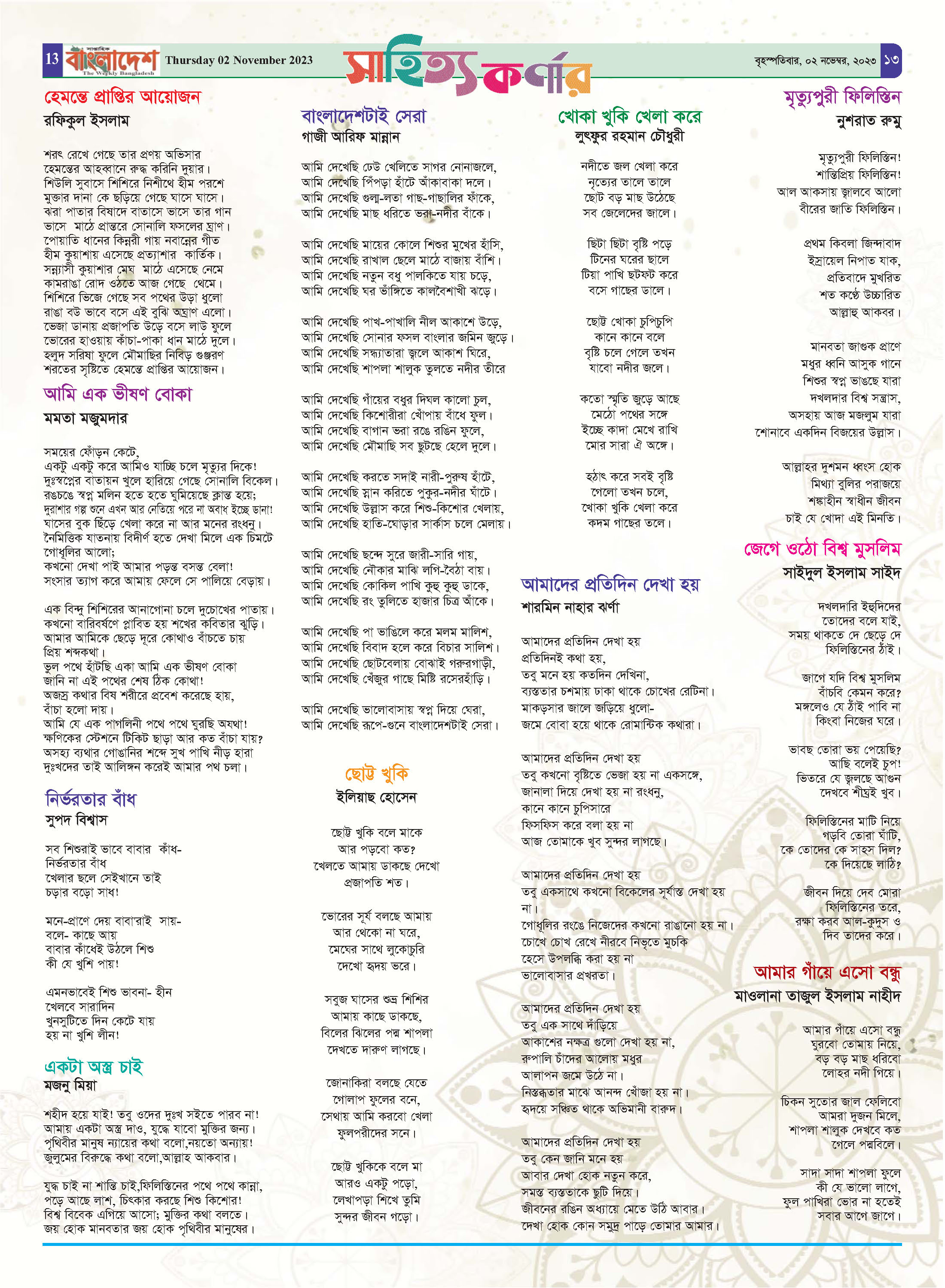 পৃষ্ঠা-১৩